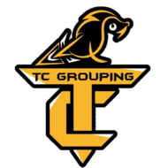 Top Esports